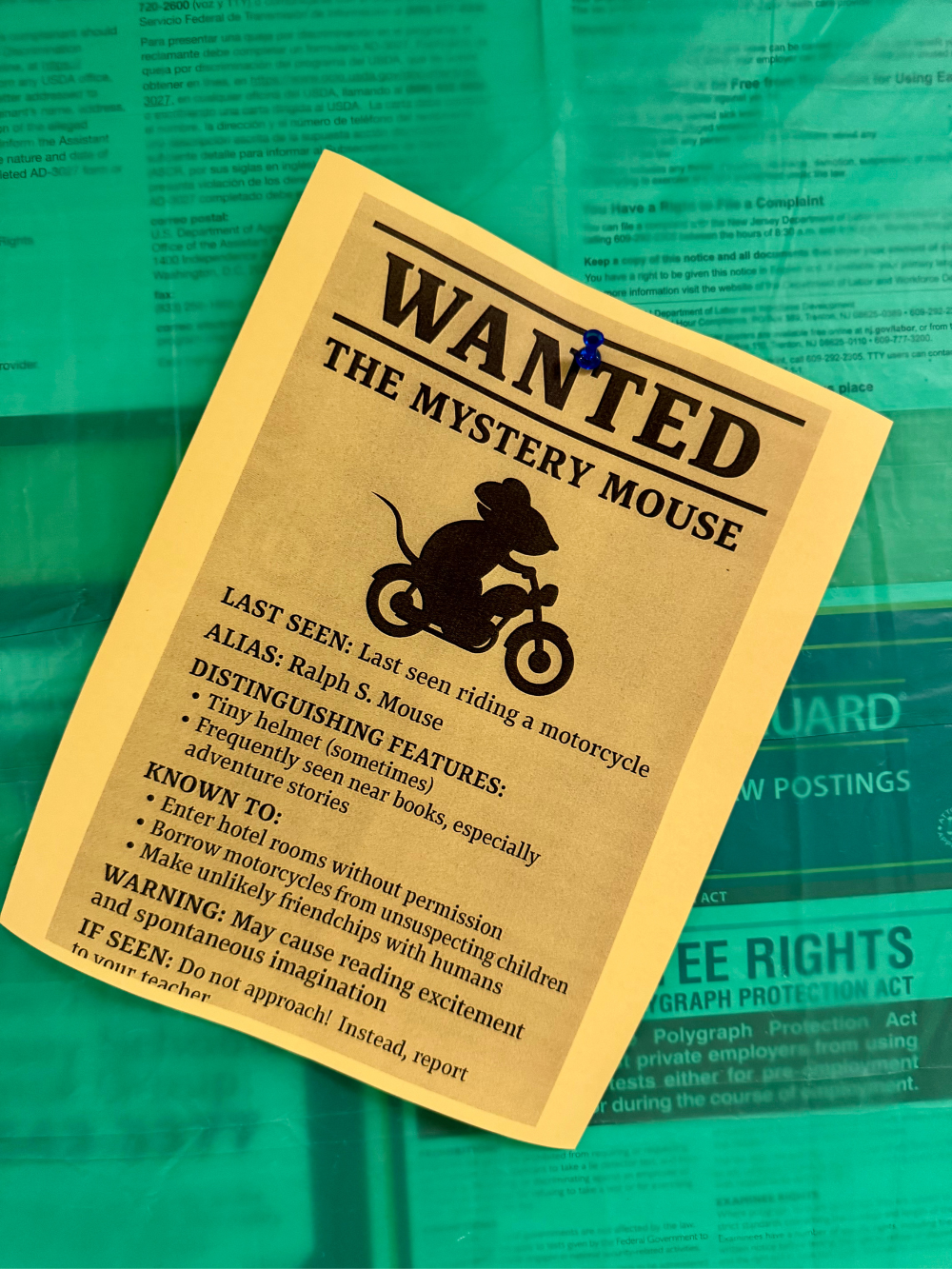 the mouse and the motorcycle (1)