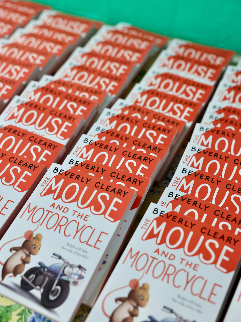 the mouse and the motorcycle (7)